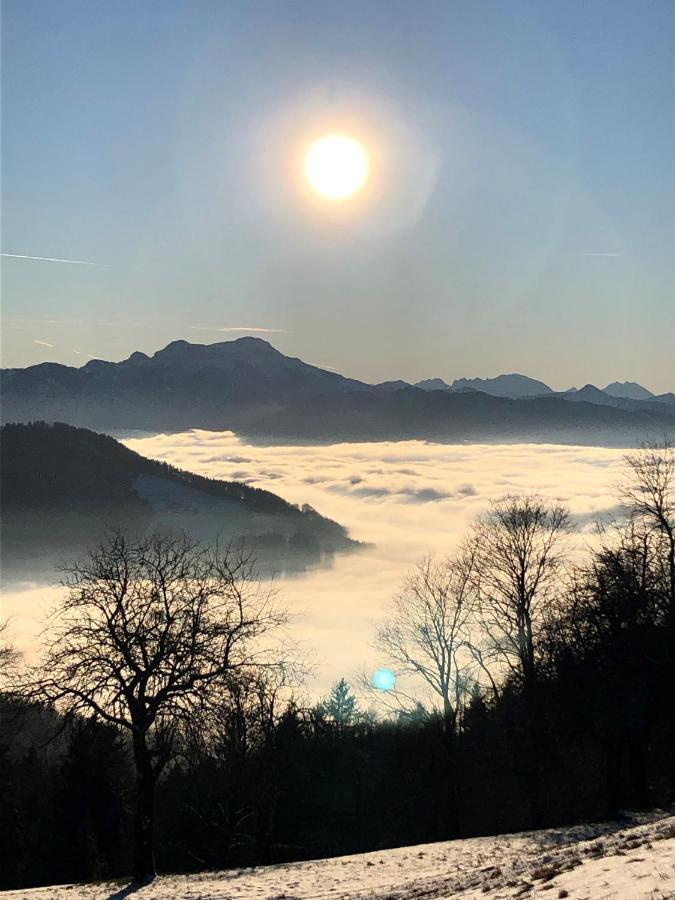 FeWo Atterseeperle Steinbach am Attersee Buitenkant foto
