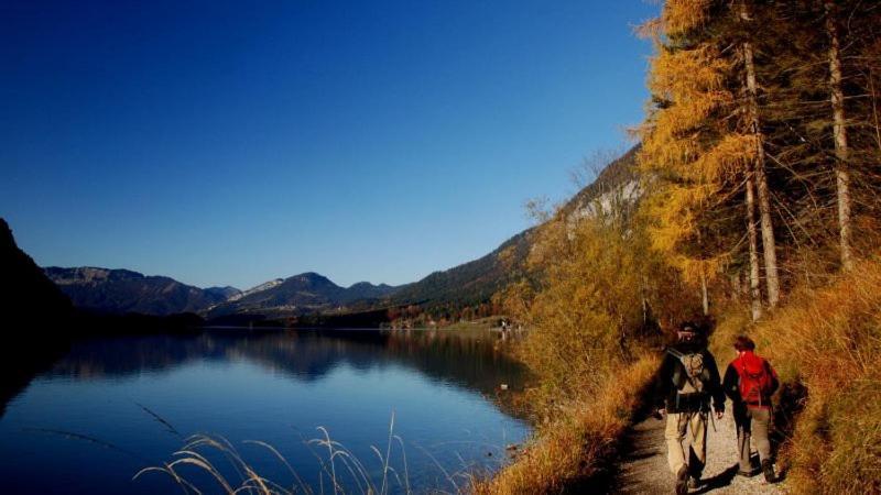 FeWo Atterseeperle Steinbach am Attersee Buitenkant foto
