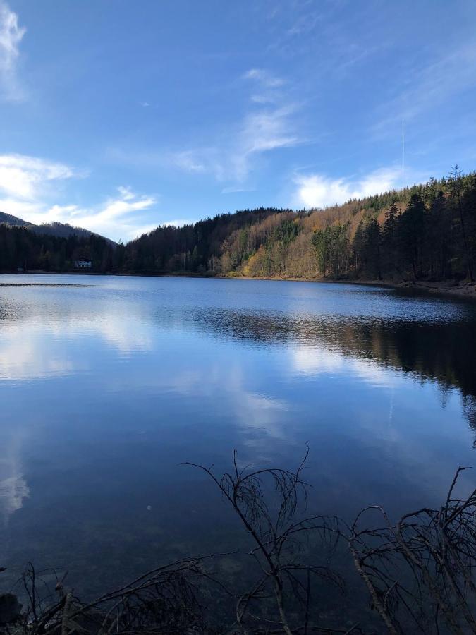 FeWo Atterseeperle Steinbach am Attersee Buitenkant foto