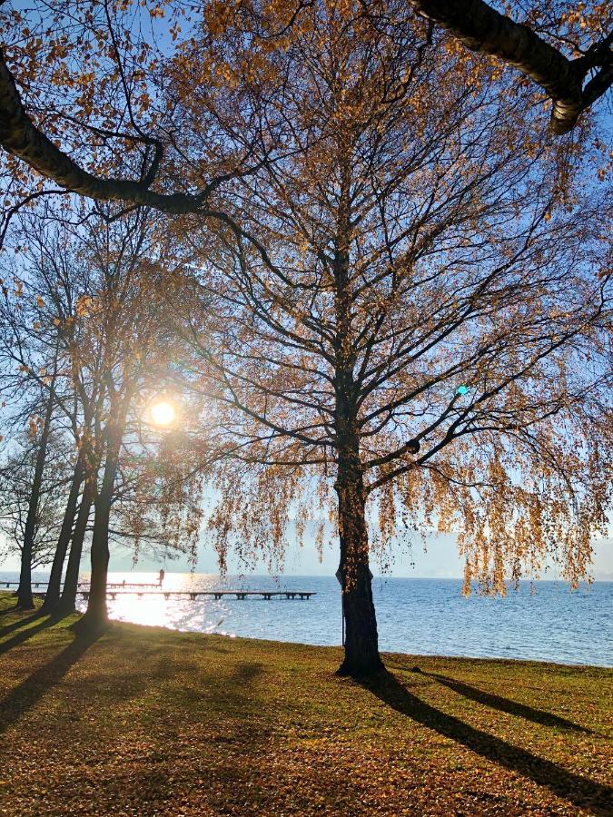 FeWo Atterseeperle Steinbach am Attersee Buitenkant foto