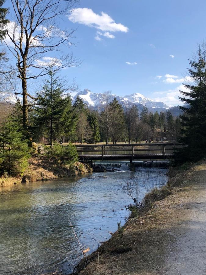 FeWo Atterseeperle Steinbach am Attersee Buitenkant foto