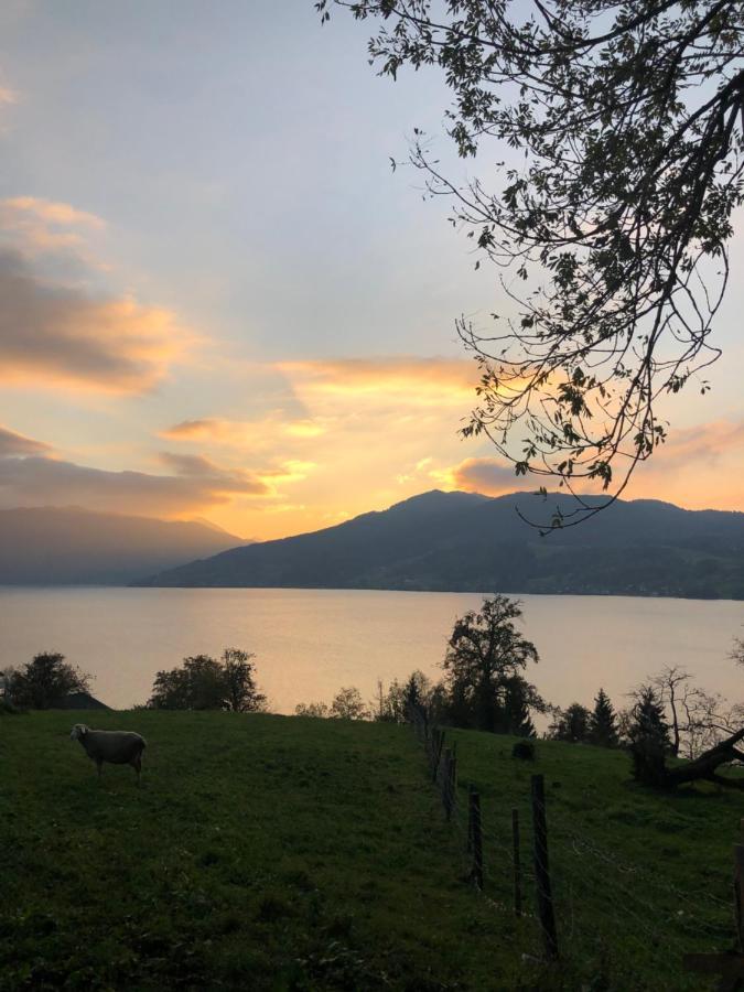 FeWo Atterseeperle Steinbach am Attersee Buitenkant foto