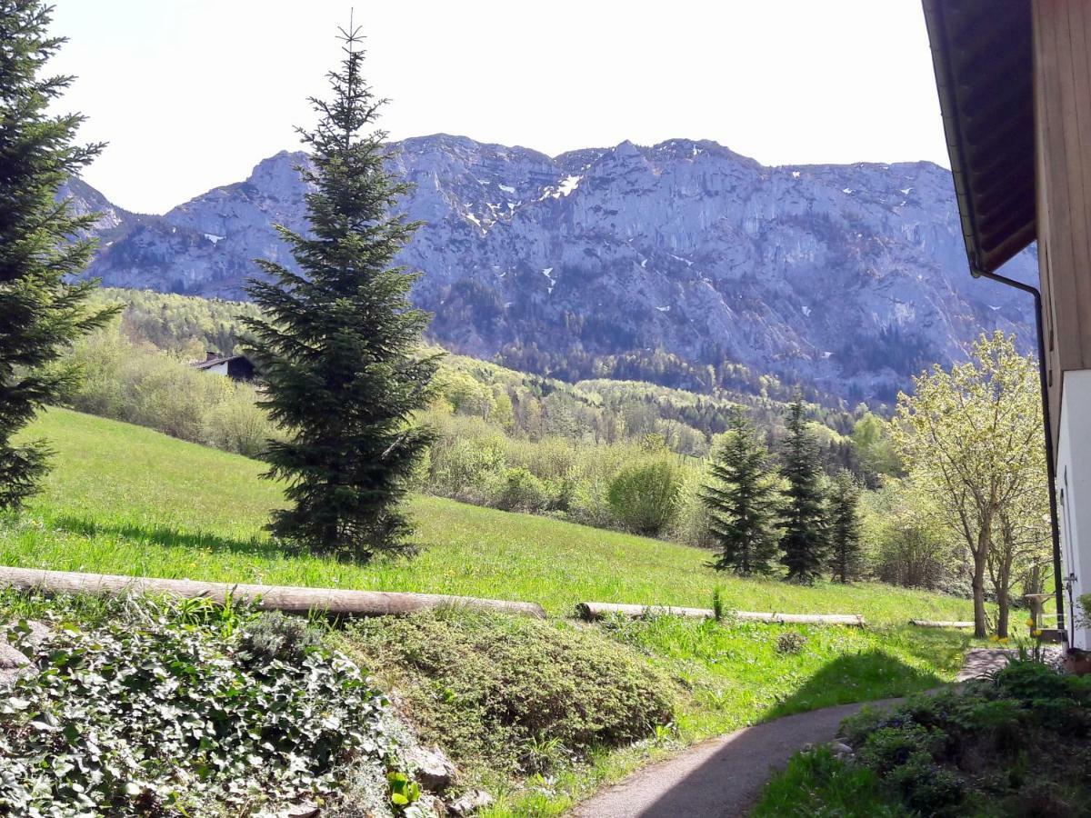 FeWo Atterseeperle Steinbach am Attersee Buitenkant foto